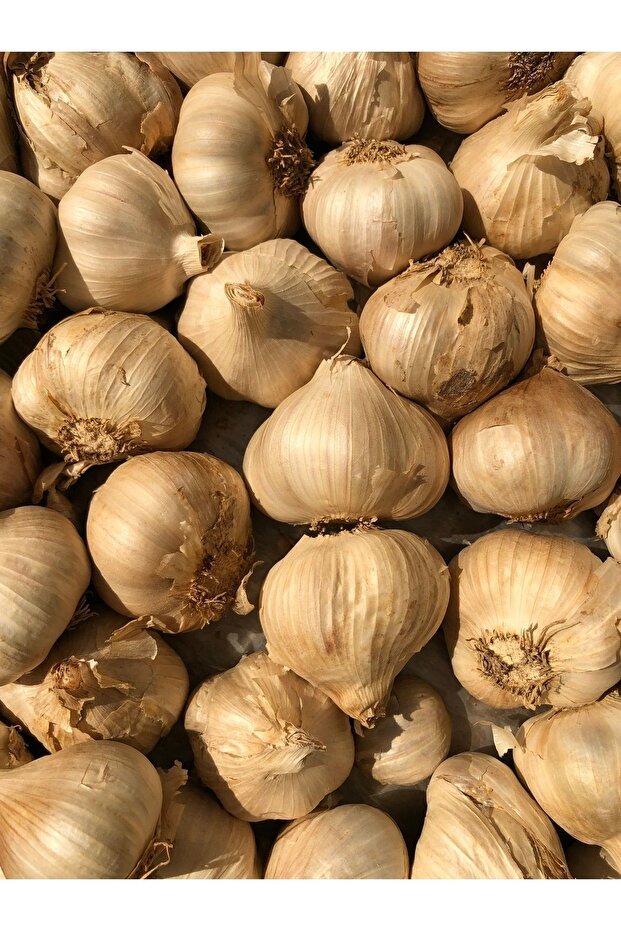 Siyah Sarımsak 400 Gram - 4