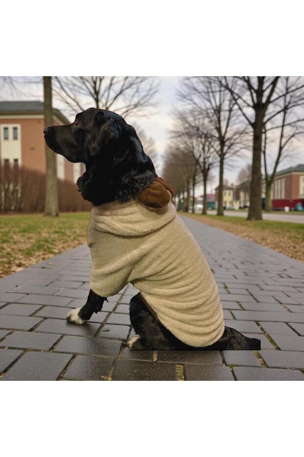 Beige Premium Plush Large Breed Dog Sweatshirt (Suitable for dogs from 21-50 kg)