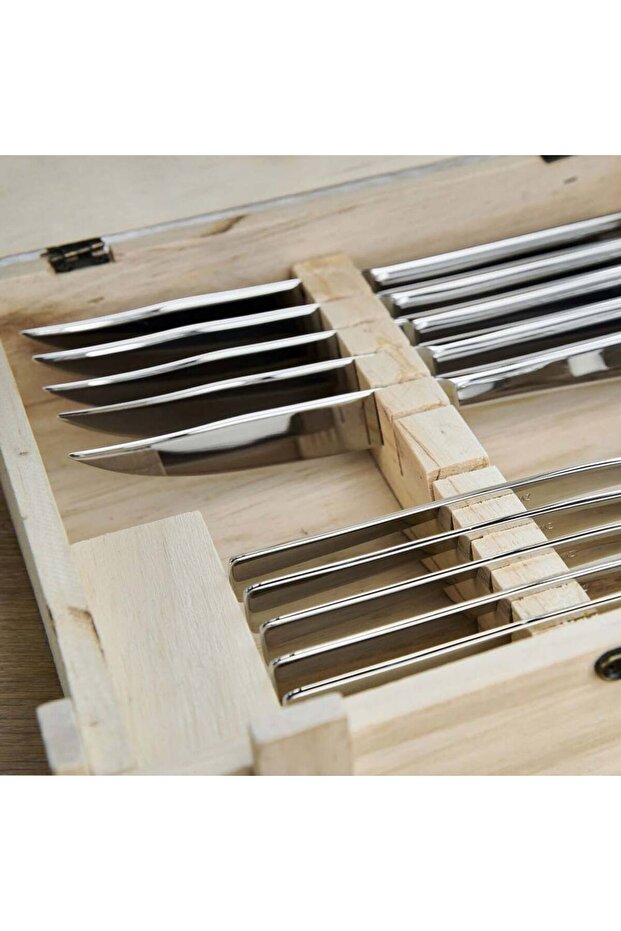 Biftek Bıçak Seti 12 Parça - 4