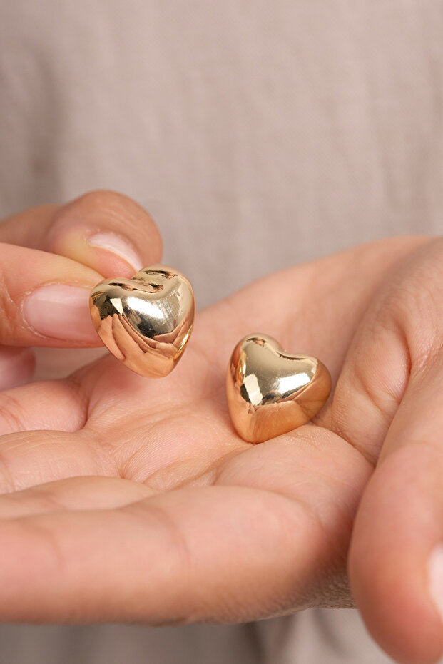 Heart Model Women's Bijouterie Earrings