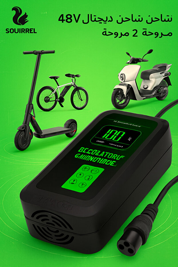 Drift Digital Charger 48V2A - 4