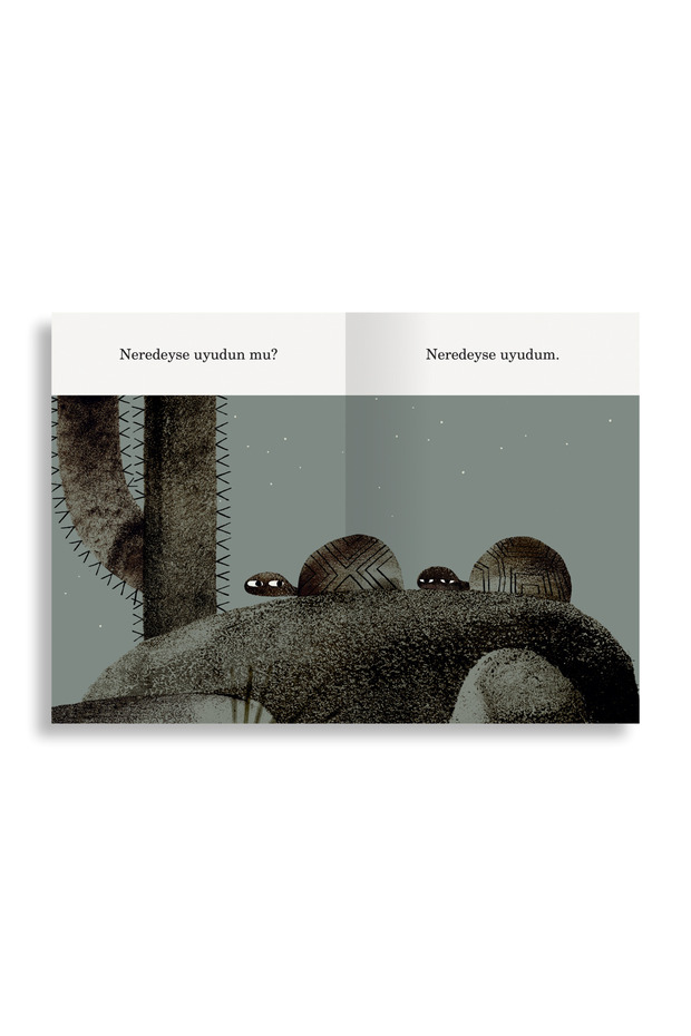 Bir Şapka Bulduk - 3