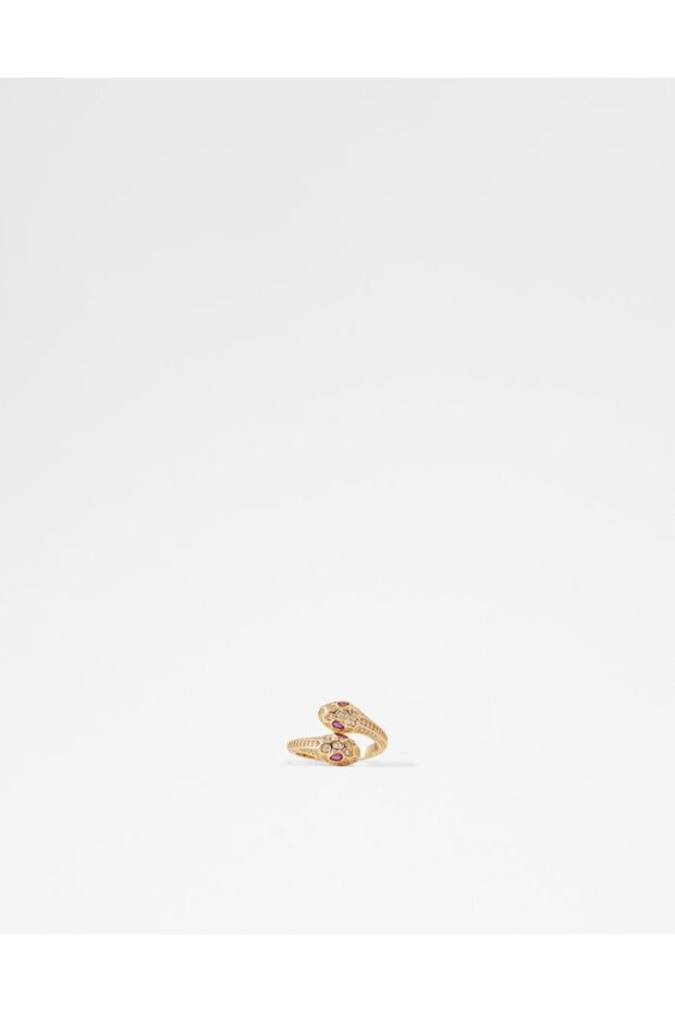 ألدرني / رينغ - 1