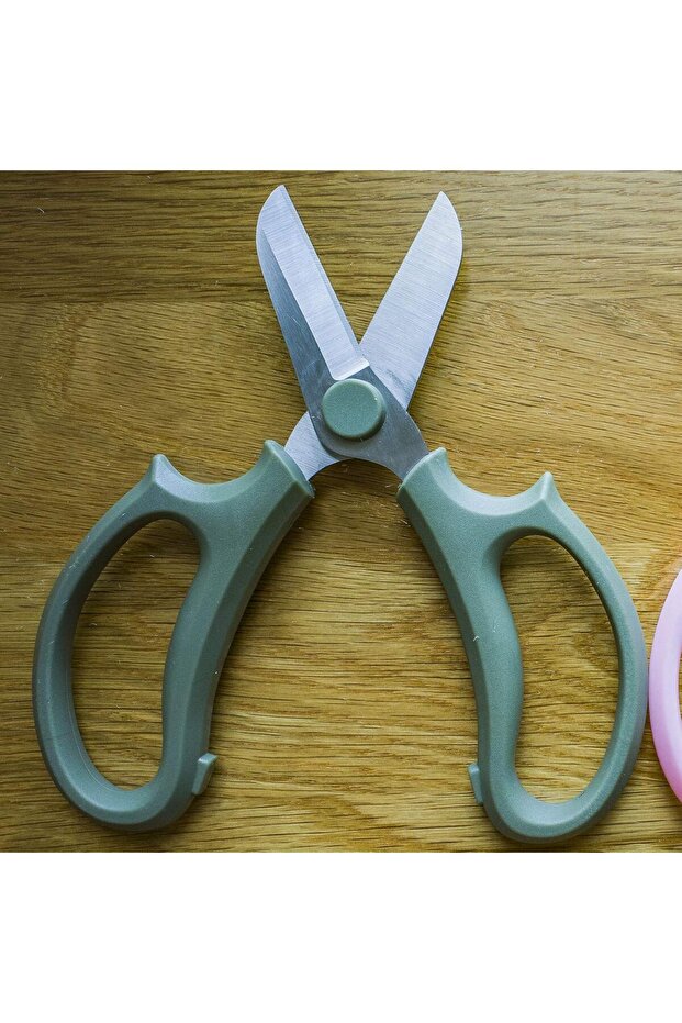 مقص تقليم لاز - 4