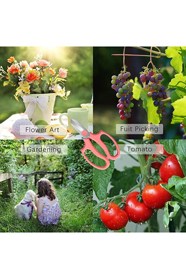 مقص تقليم لاز - 5