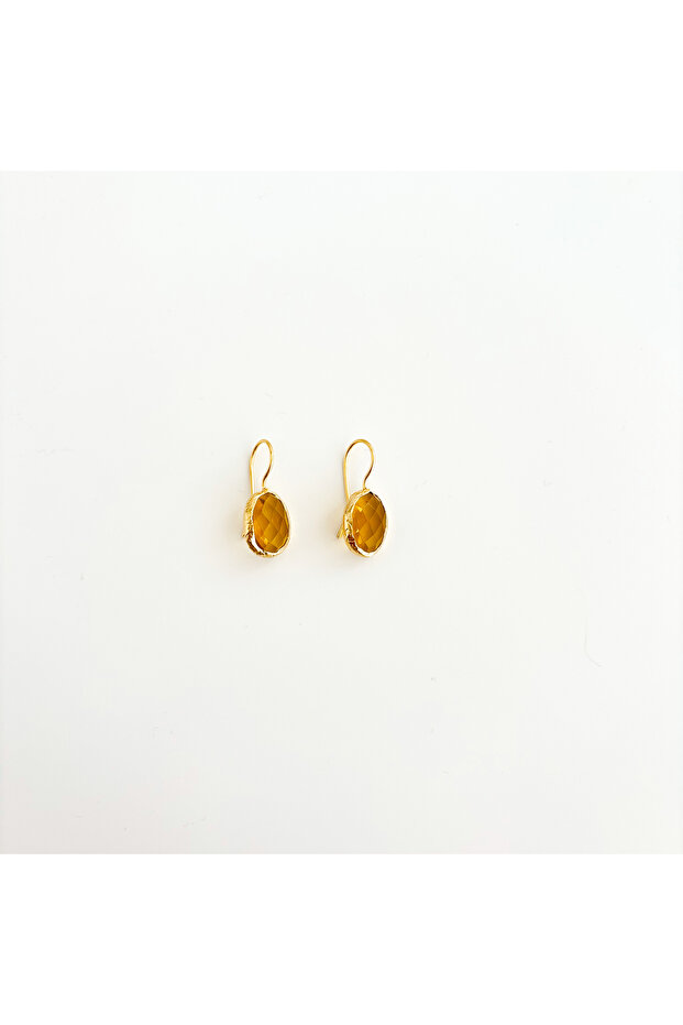 Vireya Steel Earring | Steel Earrings