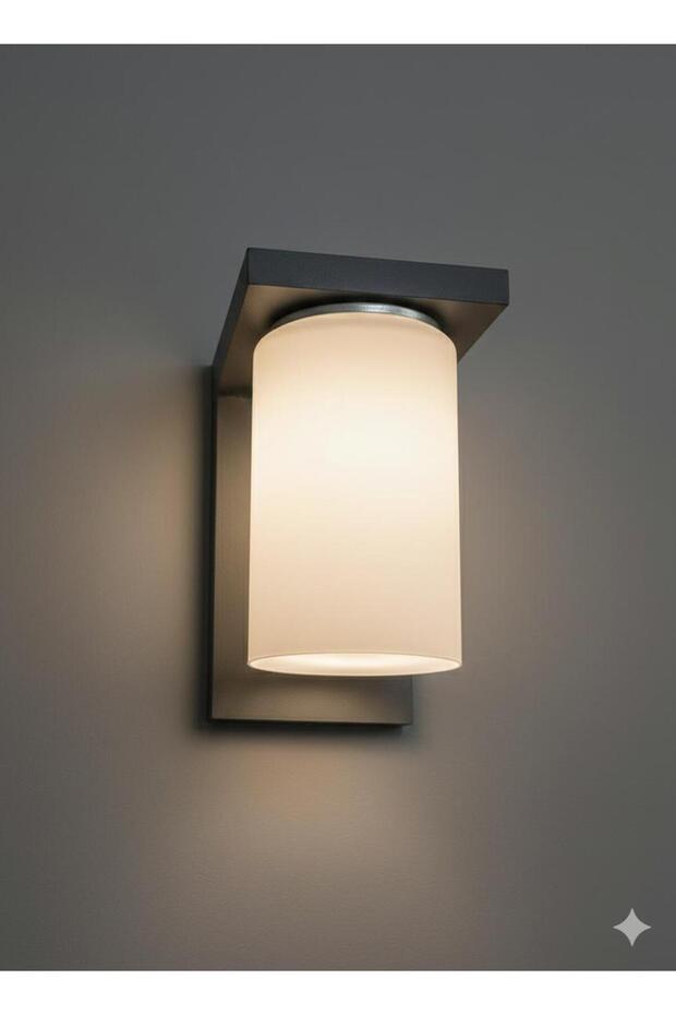 Gray Wooden Modern Stylish Wall Sconce with White Glass