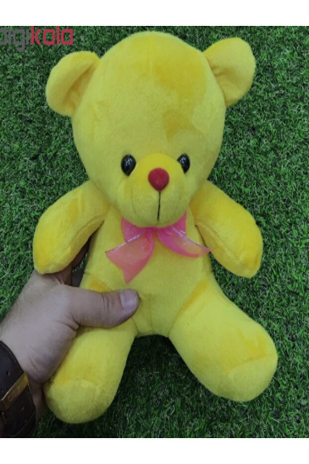 Sevimli Sarı Peluş Ayı 30 cm - 1
