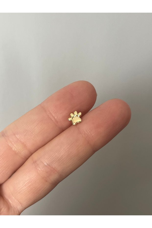 Gümüş pati piercing