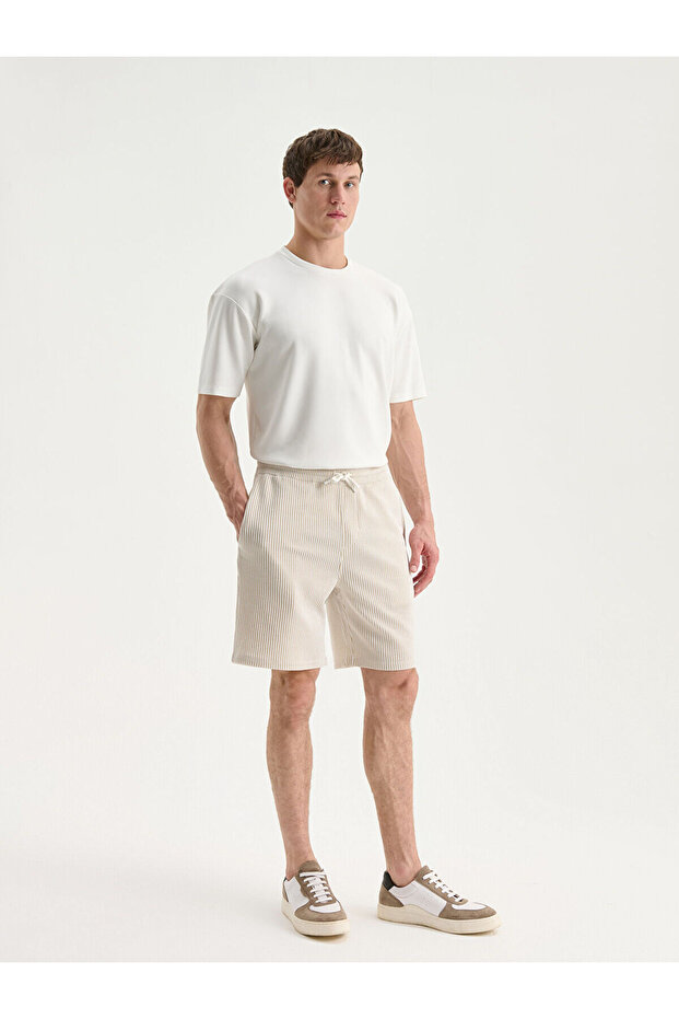 Beige Standard Fit Striped Men's Shorts