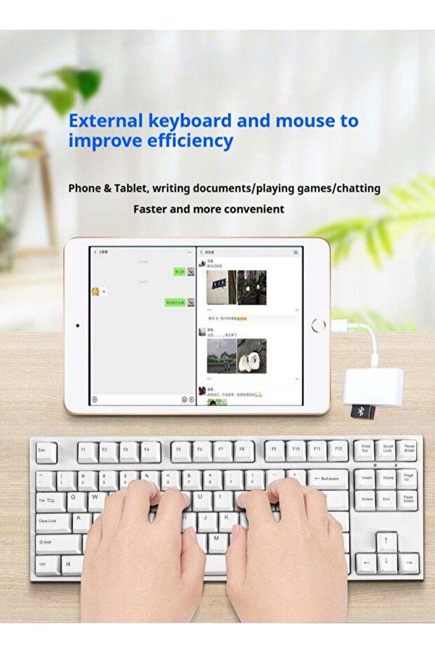 Beauenty SD Card Reader for iPhone - 3