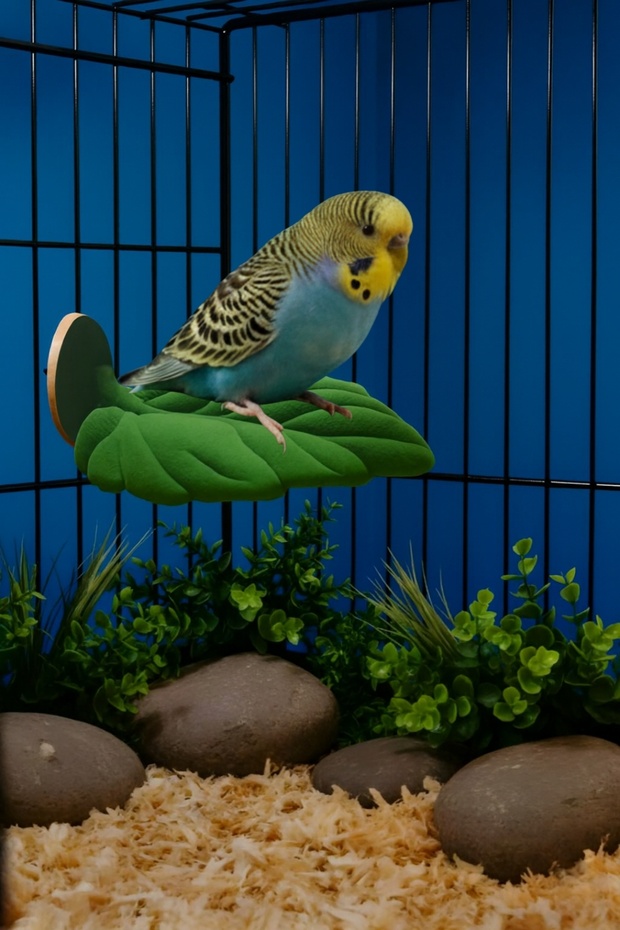 Bird Tüneği (Bird's Nest) ⚗ Bird Perch ⚗ Bird Tunnel for Bird Cage ⚗ Color Options Available.