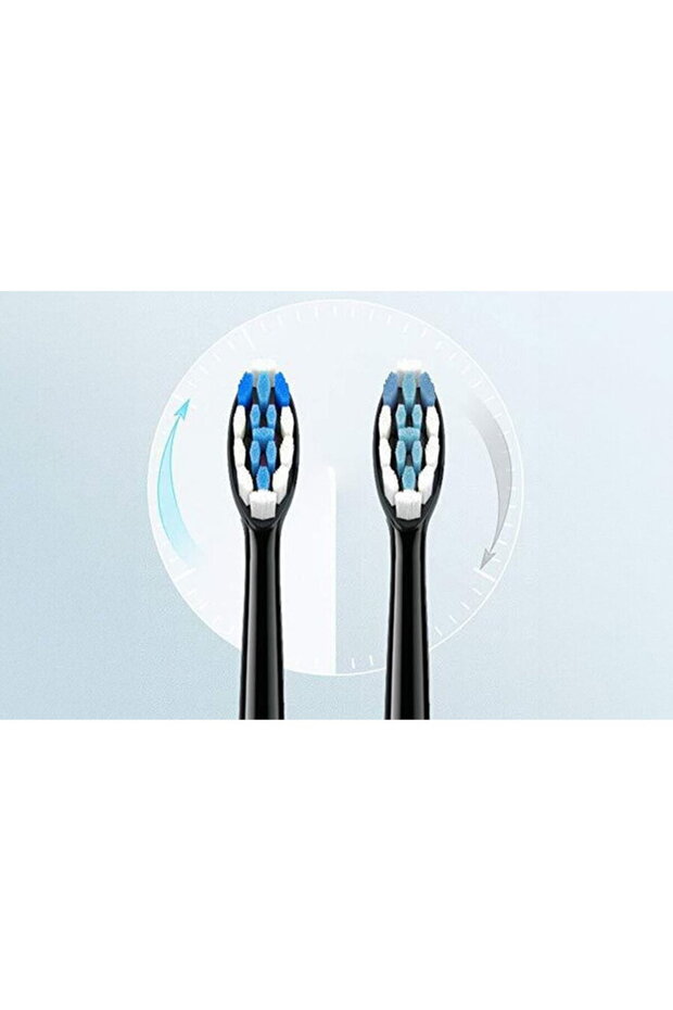 Replacement heads for BV SDS2 toothbrush Black - 2