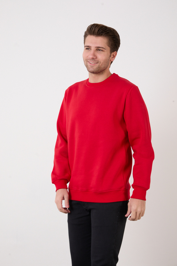 Erkek Bisiklet Yaka Basic Sweatshirt - 3
