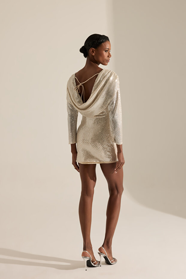 Chaster Dore Payet Mini Elbise - 4