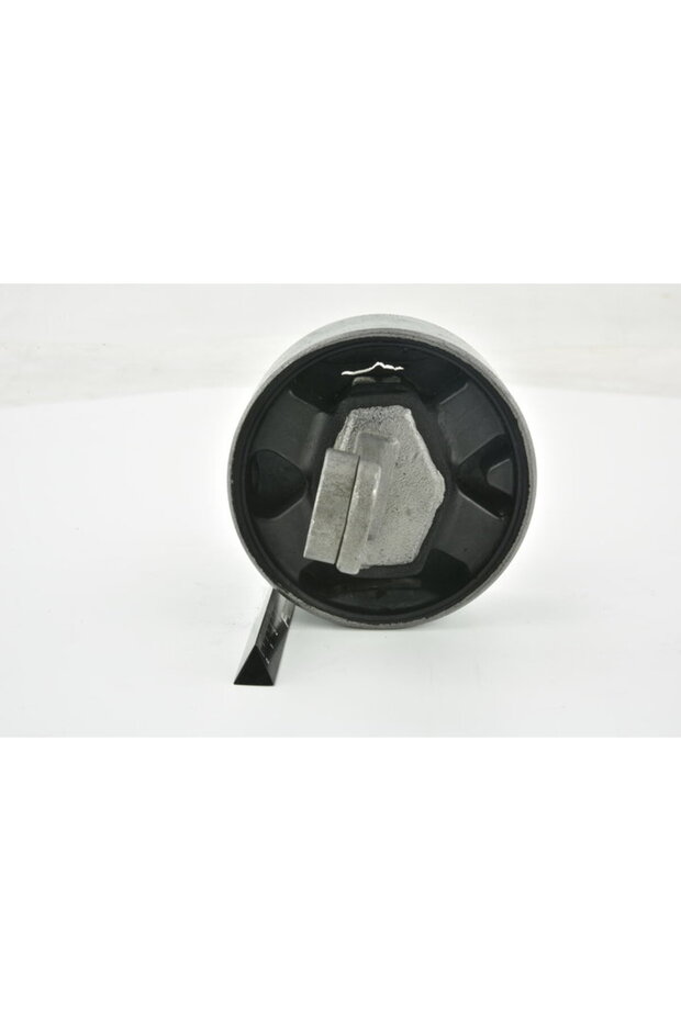Bushing Left, Rear Trailing Arm - KAB-SL10RL