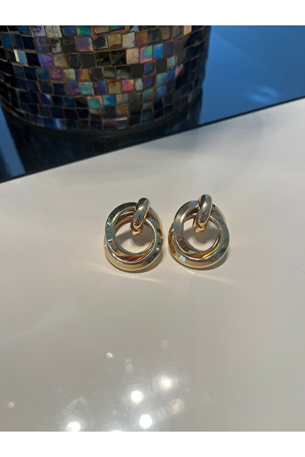 Interlocking Circle Earrings - 4