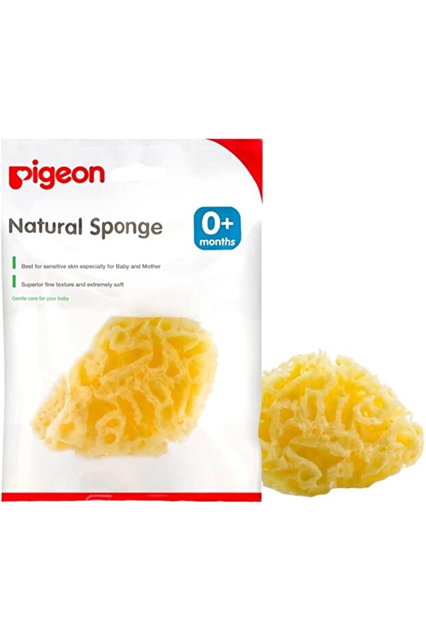 Large Natural Sponge - 1