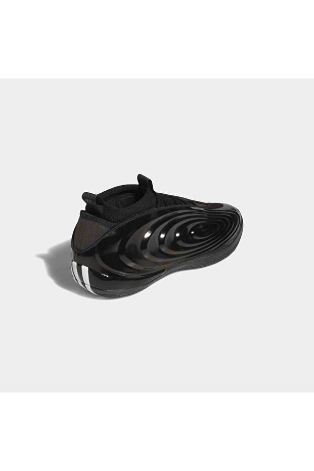 HARDEN VOLUME 10 - 6