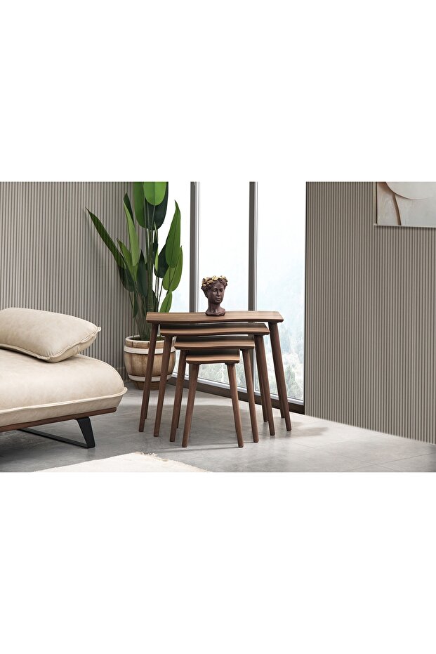 SALSA ZİGON SEHPA, DÖRTLÜ, CEVİZ - 2