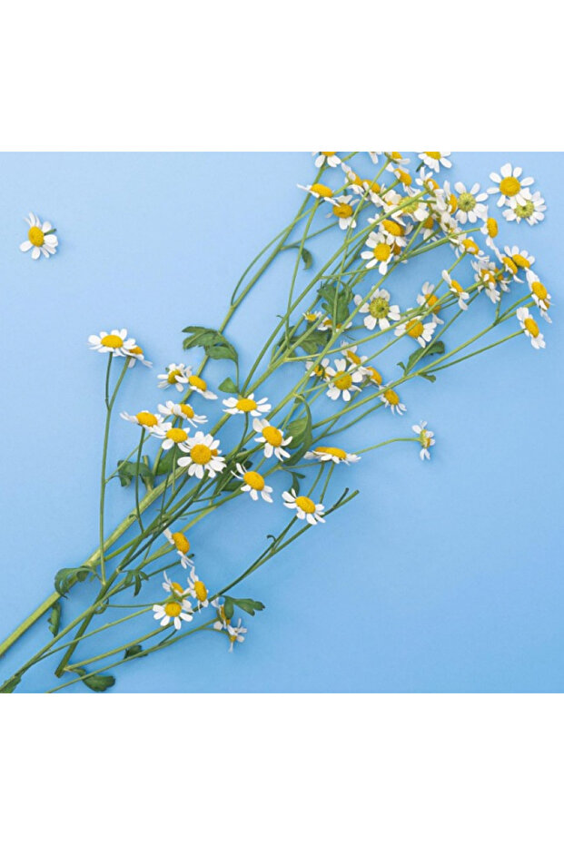 BÜBCHEN Doğumdan İtibaren Bebek Yağı (Öl) 200ml - 5