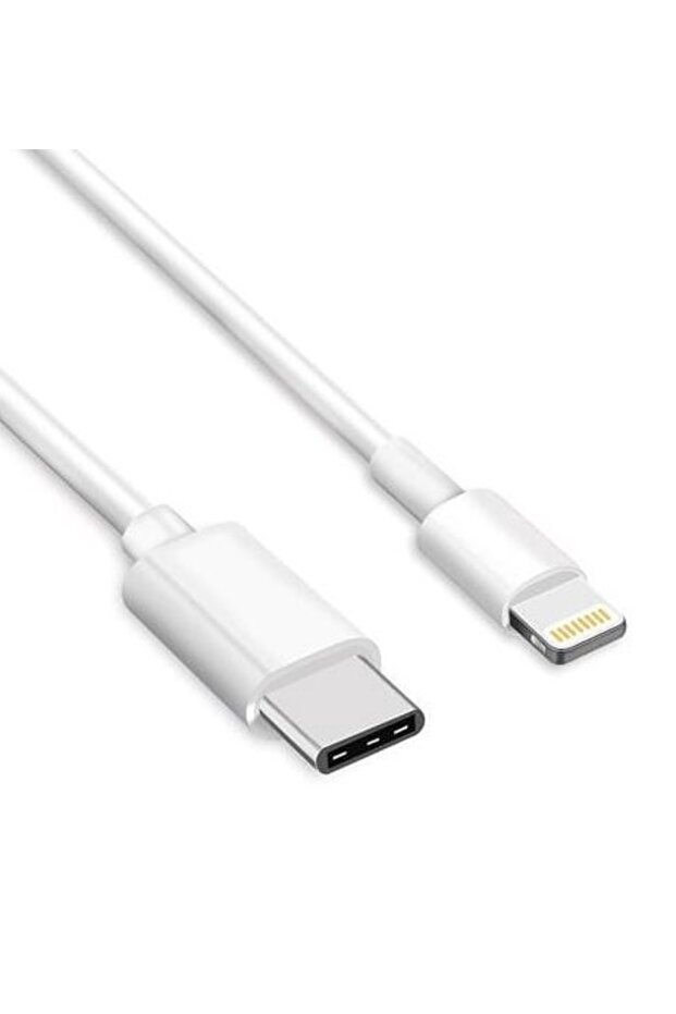 IPHONE Data and Charging Cable 2.0 m Type C - 1