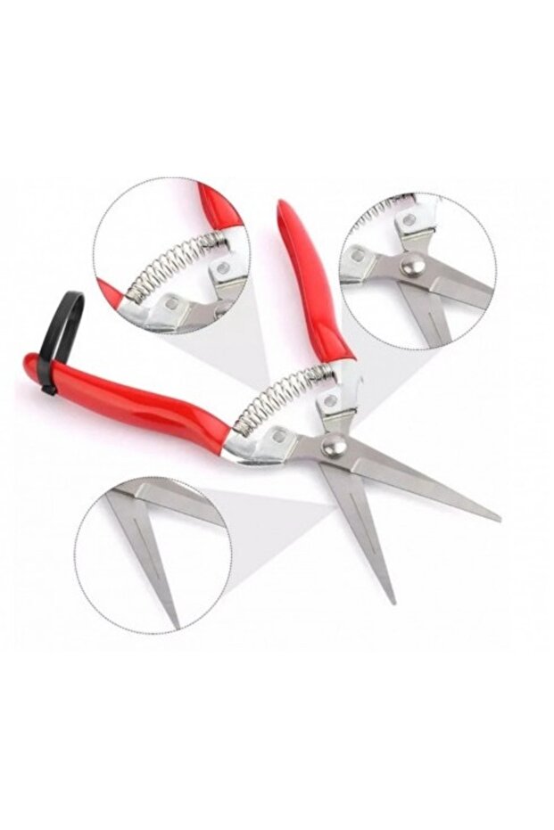 Right-hand vegetable/fruit picker - 5