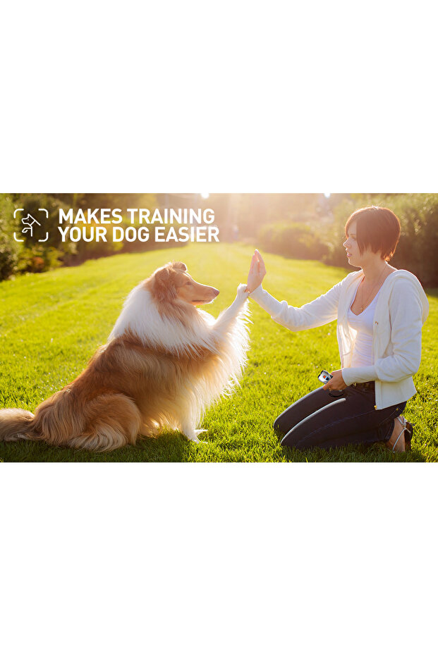 Dual sensor barking device with training/deterrence modes - 3