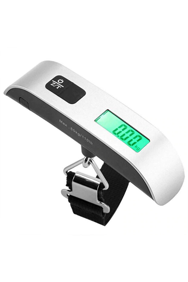 SILVER Hand Scale Display Thermometer - 1