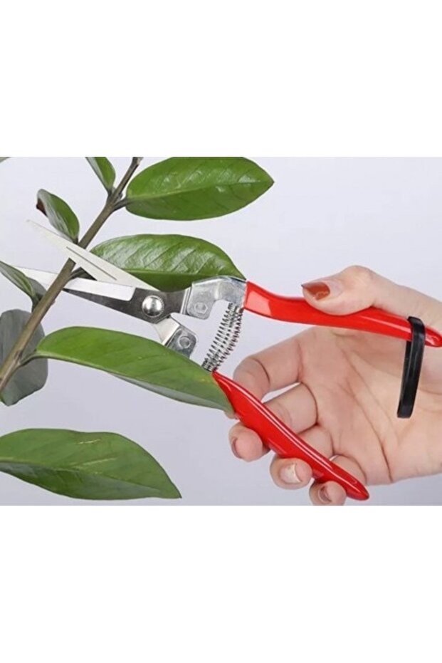 Right-hand vegetable/fruit picker - 6