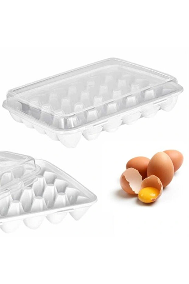 30 &amp; حاوية تخزين البيض (5047) - 2