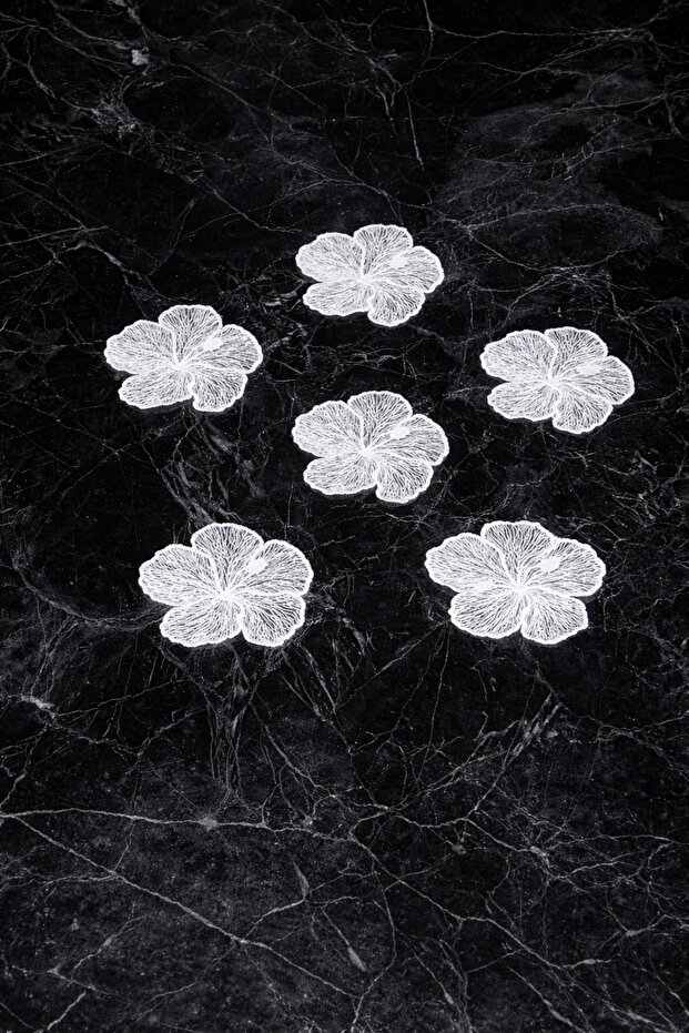 Set of 6 Floral Patterned Guipure Tulle Ecru Coasters