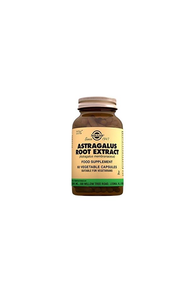 60 Capsules Astragalus Root - 1