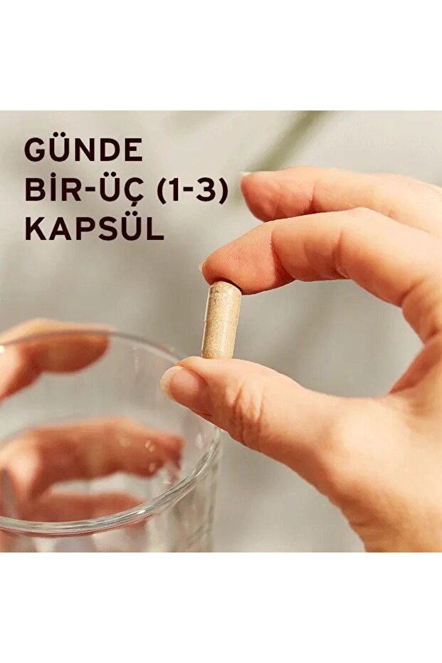 Milk Thistle 100 mg 50 Kapsül - 3