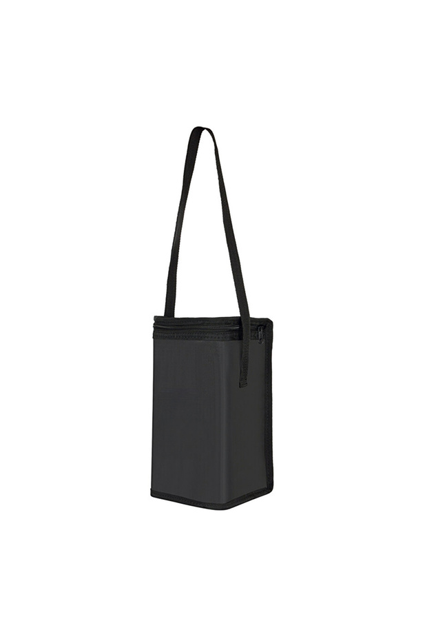Camping Bear ® Thermal Insulated Travel, Camping and Picnic Bag, 6 Liters, Black