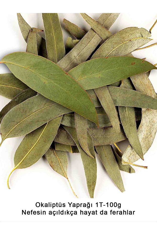 ورق الأوكالبتوس 100 جرام - 3
