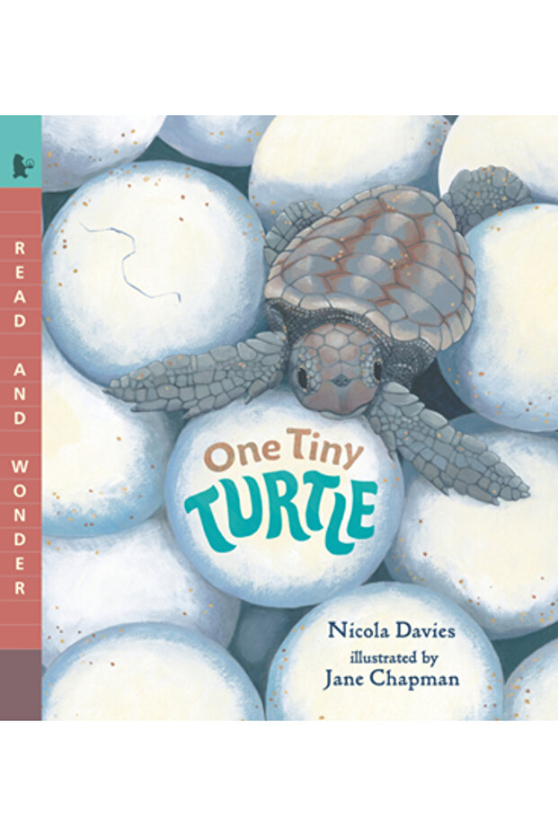 One Tiny Turtle - 1