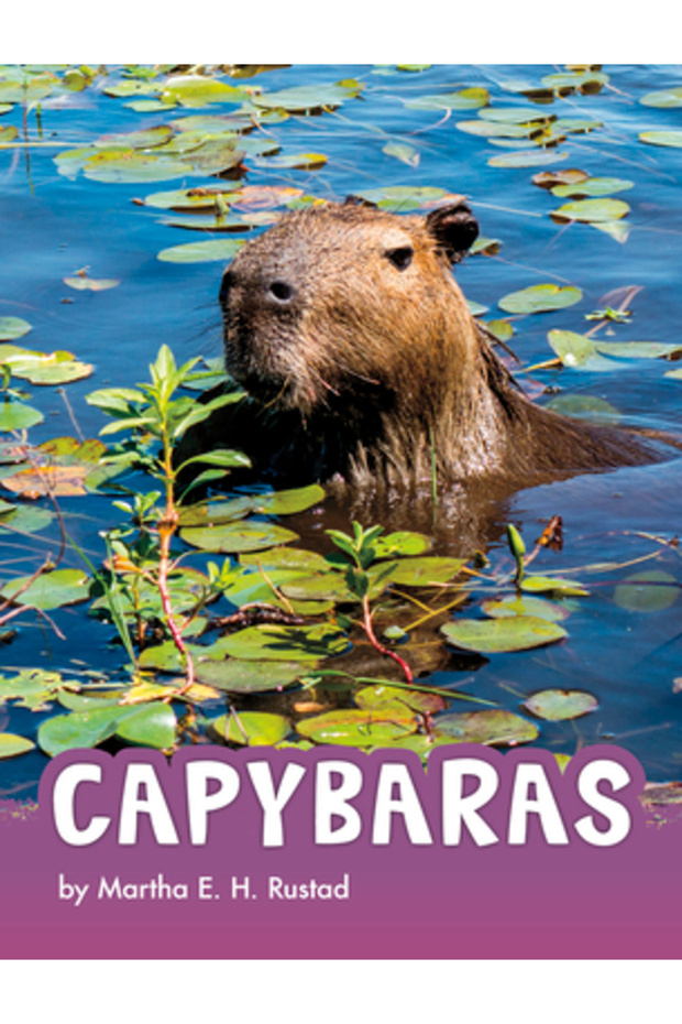 Capibara - 1