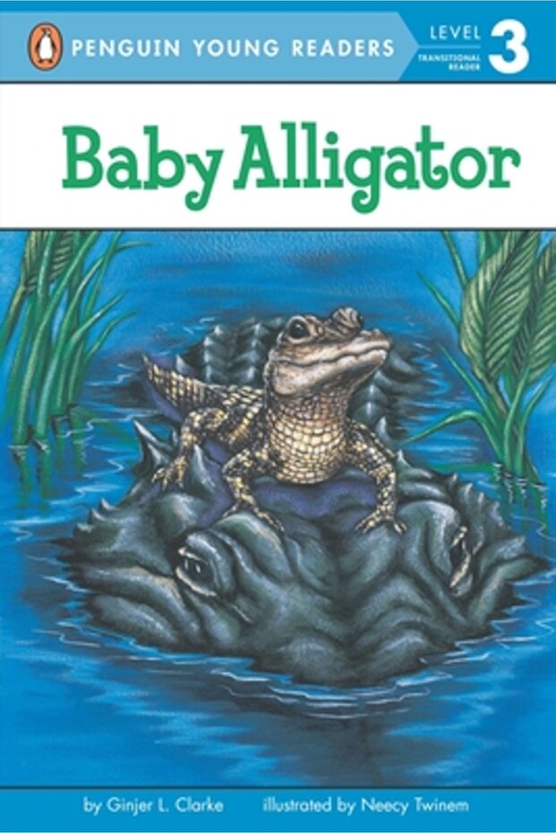 pui de aligator - 1