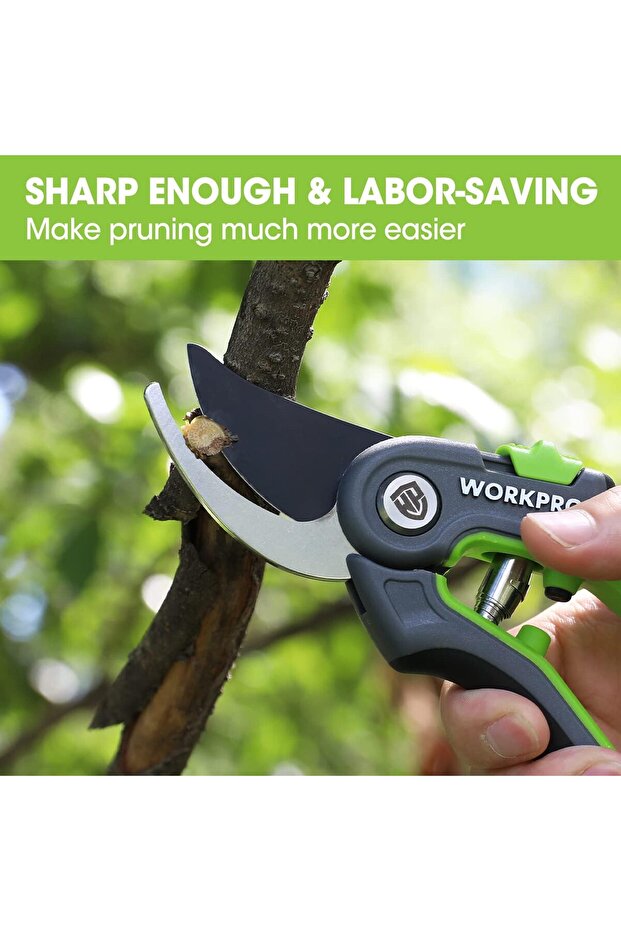 مقص تقليم - 6