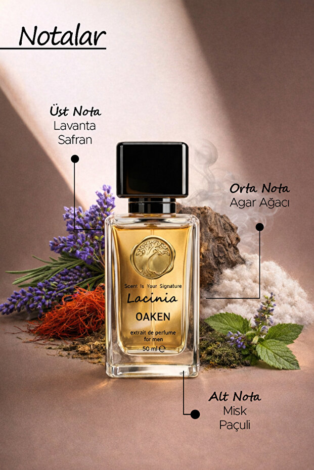 Oaken Erkek Parfüm 50ml-Extrait de Parfum | Odunsu & Oryantal | Yoğun Kalıcılık - 3