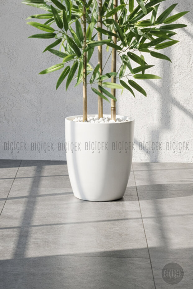 110 cm Bambu Ağacı Yakut Saksıda - 3