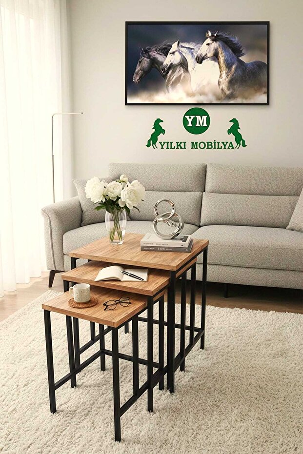 JAN 3'LÜ ZİGON SEHPA - 3