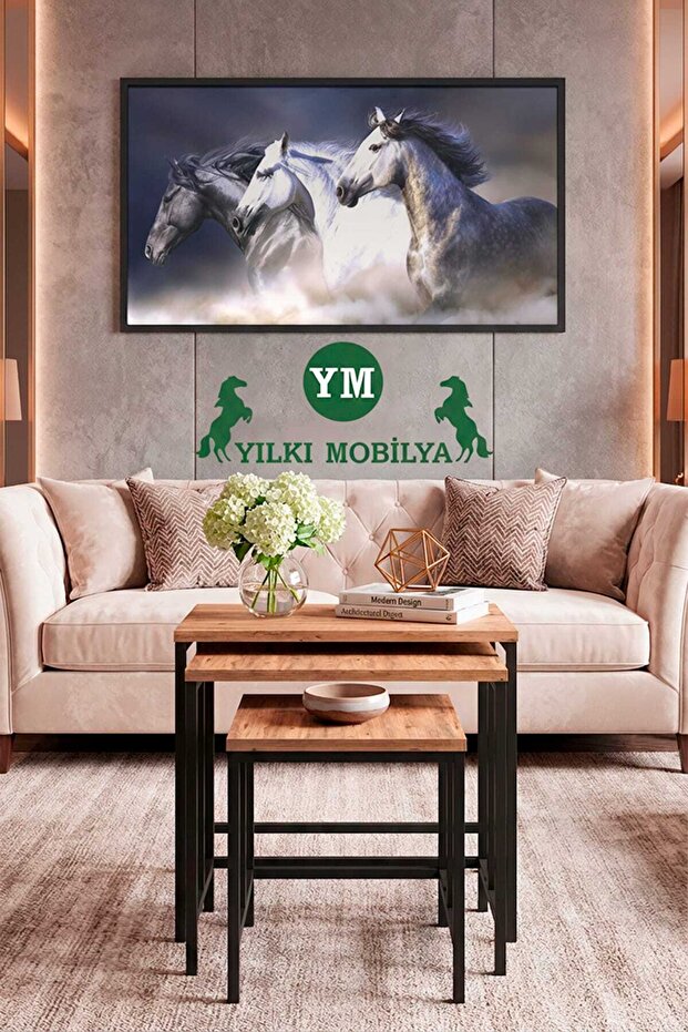 JAN 3'LÜ ZİGON SEHPA - 5