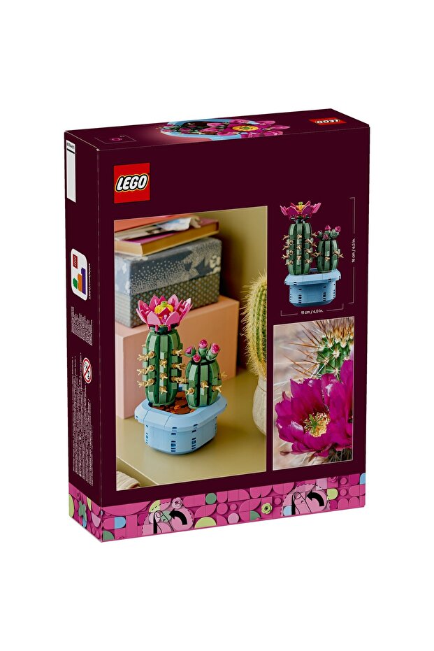 Botanicals 11509 - 3