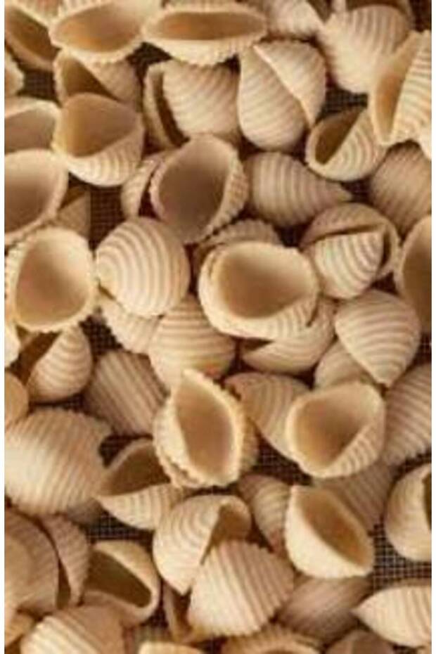 كونشيلي ريجاتي "رومو" (حزمة) - 2