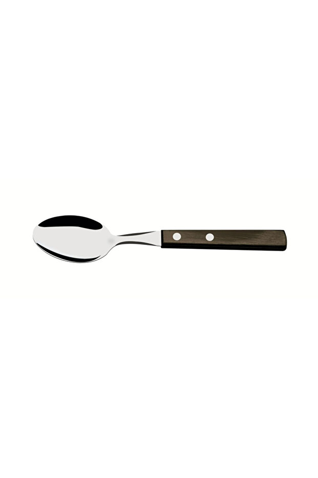 Stainless Steel Dessert Spoon with Treated Brown Polywood Handle