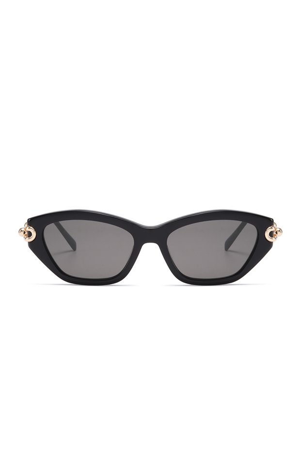 At1243 C1 53-17-145 Sunglasses