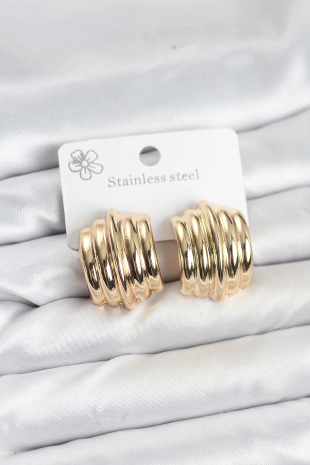 Model 316L Steel Gold Rk Women's Earrings