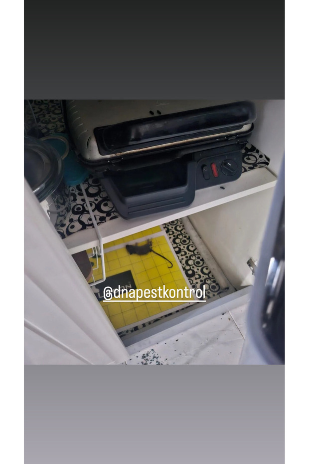 Fare Yapışkan Seti - 3